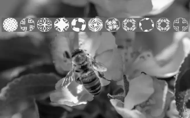 RoundPieces-06 Font examples