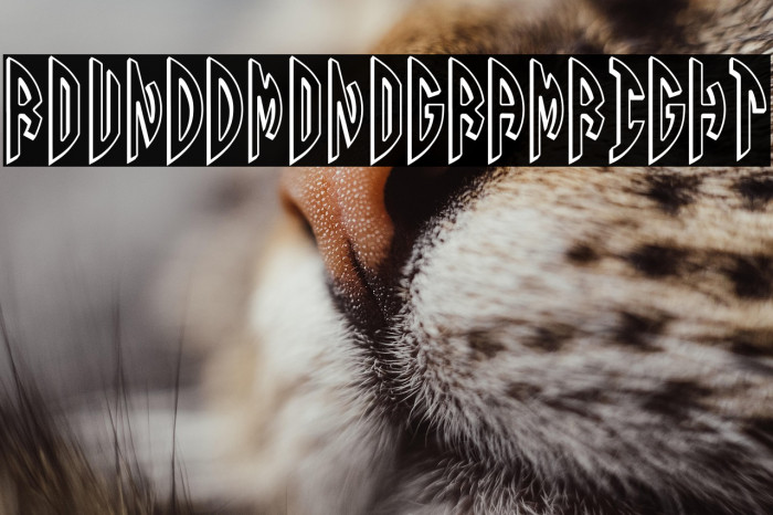 Round_3D_Monogram_Right Example 1