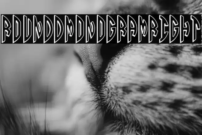 Round_3D_Monogram_Right Font examples