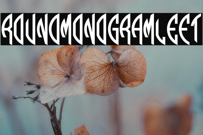 Round_Monogram_Left Example 2