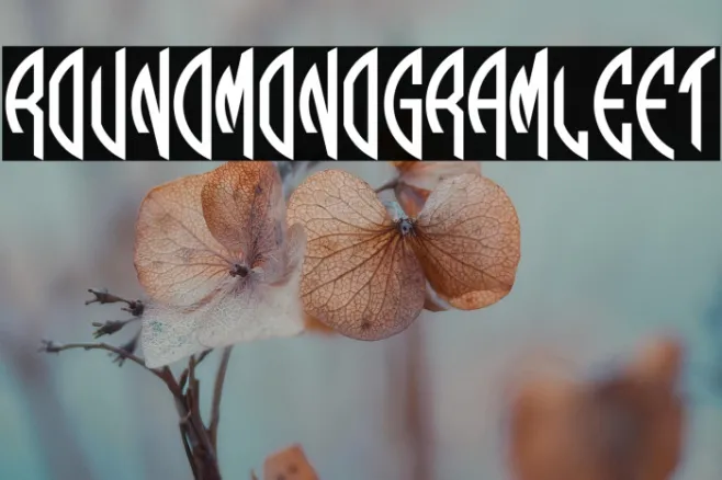 Round_Monogram_Left Example 2