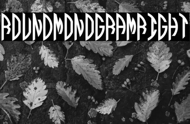 Round_Monogram_Right Font examples