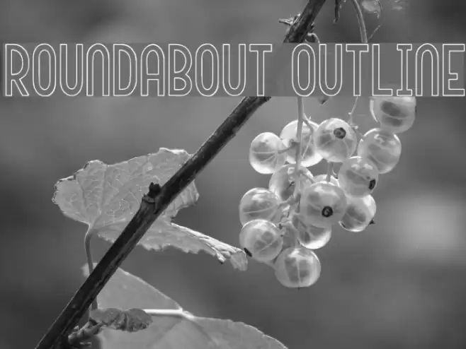 Roundabout Outline Schriftart examples