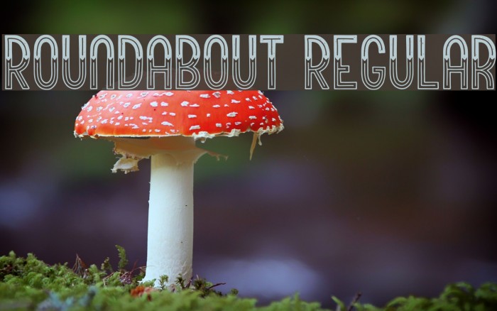 Roundabout Regular Example 1