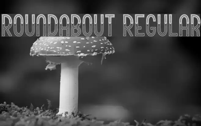 Roundabout Regular Font examples