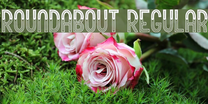 Roundabout Regular Example 2