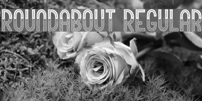 Roundabout Regular Font examples