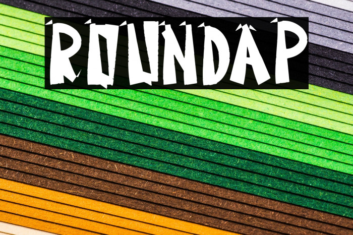 Roundap Font examples
