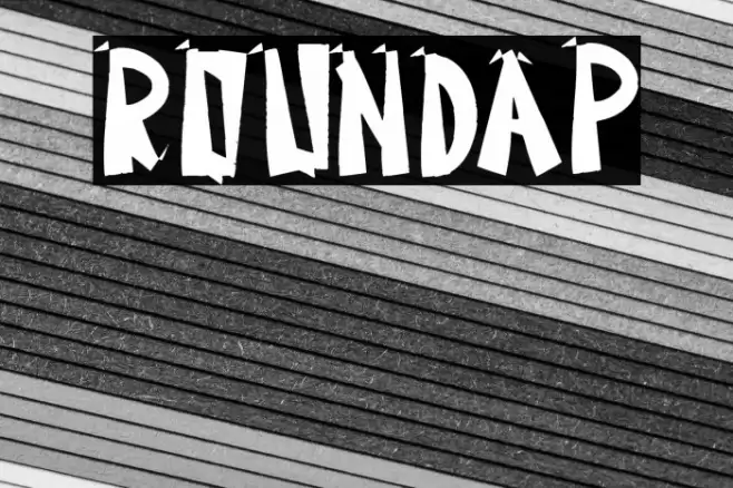 Roundap Font examples