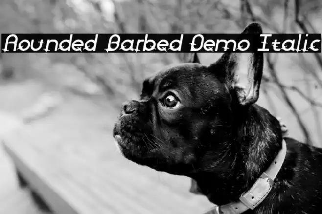 Rounded Barbed Demo Italic Font examples