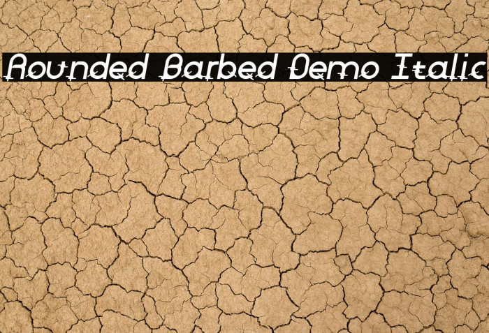 Rounded Barbed Demo Italic Example 3