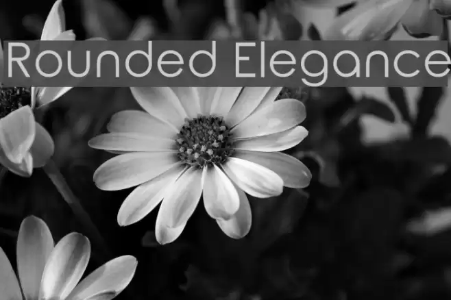Rounded Elegance Font examples