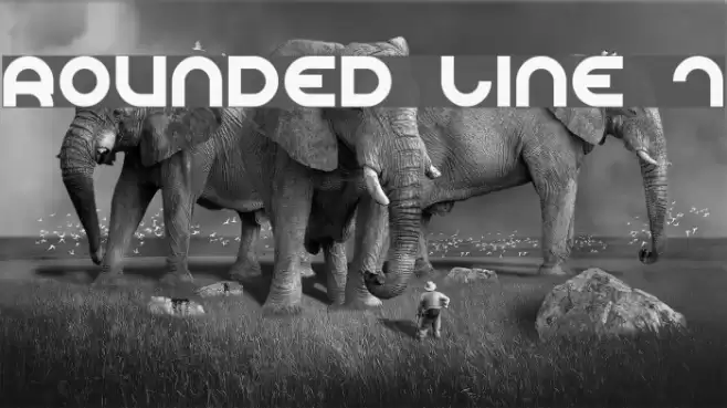 Rounded Line 7 Polices examples