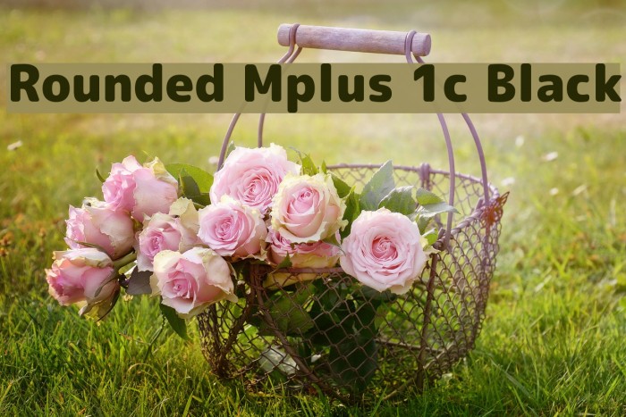 Rounded Mplus 1c Black Font examples