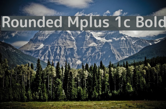 Rounded Mplus 1c Bold Font examples