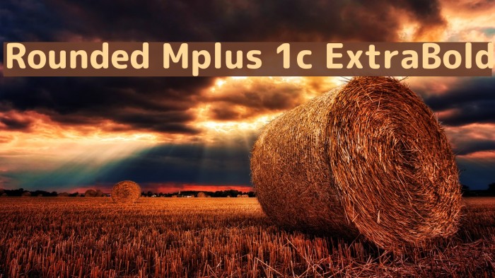 Rounded Mplus 1c ExtraBold Font examples
