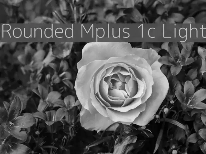 Rounded Mplus 1c Light Font examples