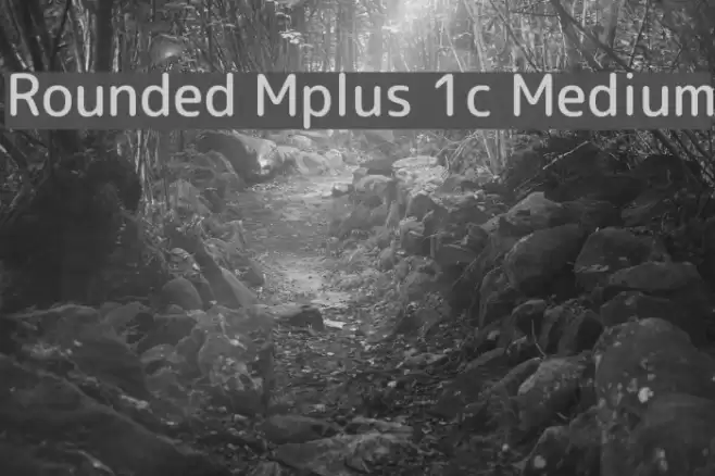 Rounded Mplus 1c Medium Font examples