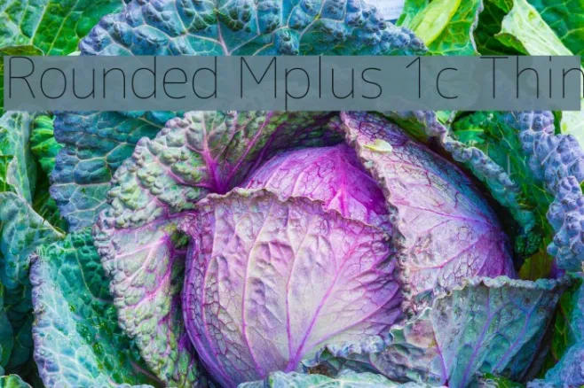 Rounded Mplus 1c Thin Example 1