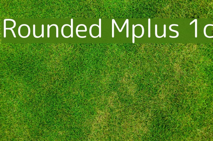 Rounded Mplus 1c Font examples