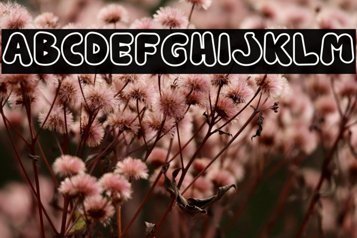 Rounded Robin Outline Outline फ़ॉन्ट examples