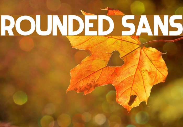 Rounded Sans Font examples