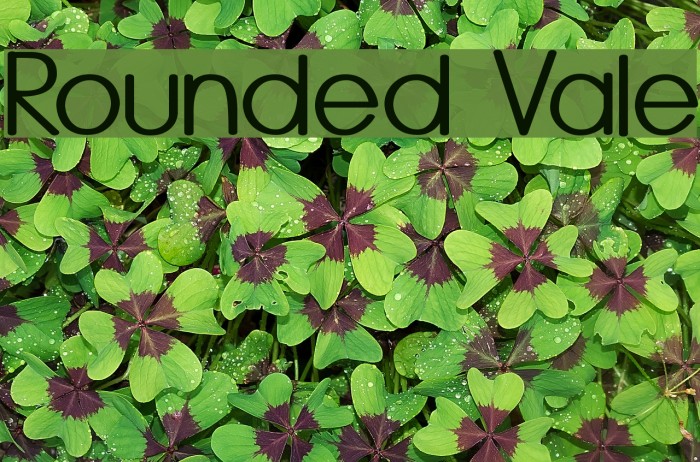 Rounded Vale Example 3