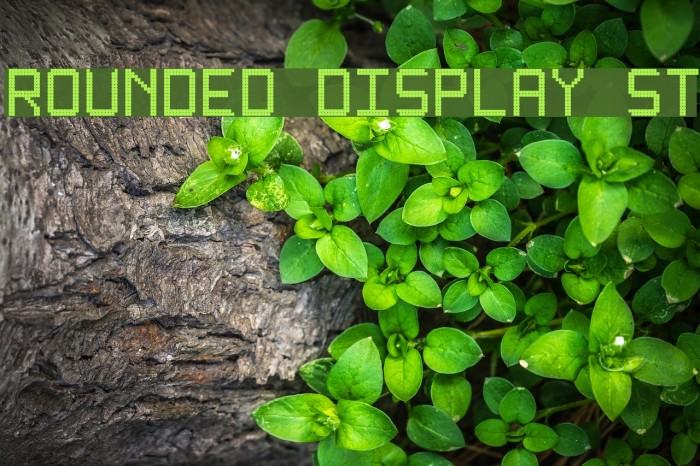 Rounded display St Шрифта examples
