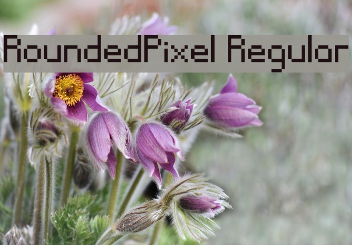 RoundedPixel Regular Font examples