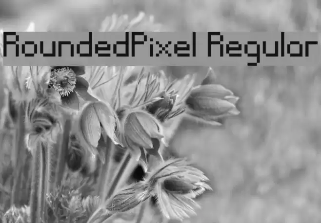RoundedPixel Regular خط examples