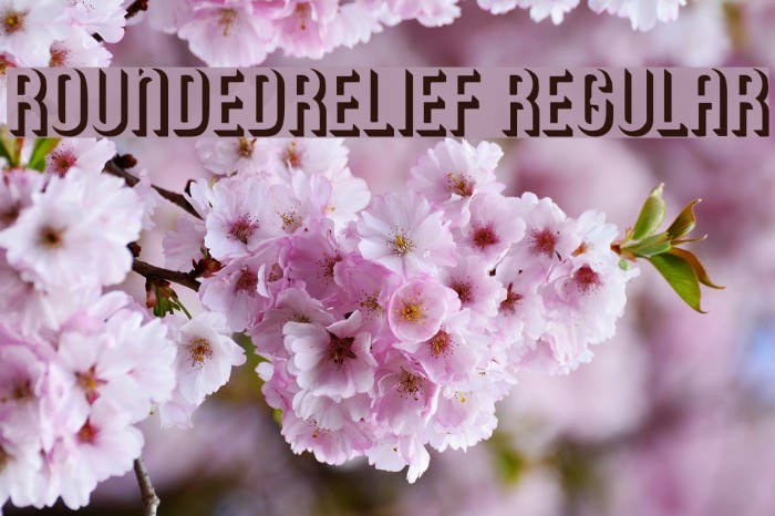 RoundedRelief Regular Font examples