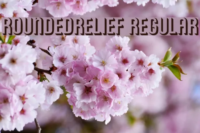 RoundedRelief Regular Example 1