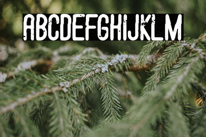 Rounder Dirty Team Example 2