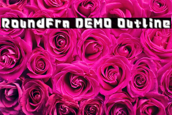 Roundfra DEMO Outline Example 1