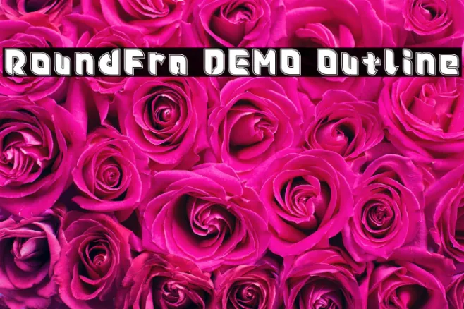 Roundfra DEMO Outline Example 1