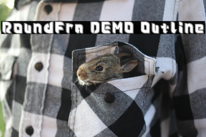 Roundfra DEMO Outline Example 2