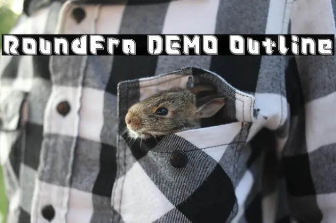 Roundfra DEMO Outline Example 2