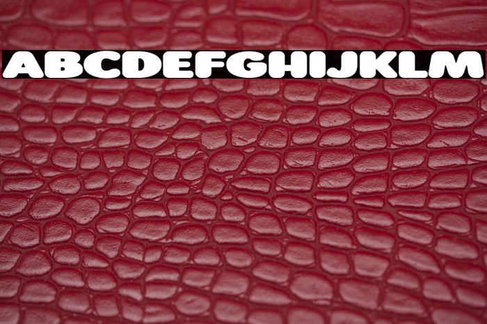 Roundigger Bold Example 3