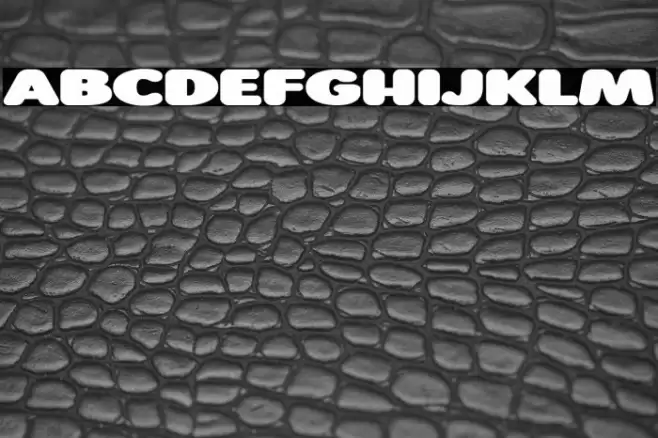 Roundigger Bold Font examples