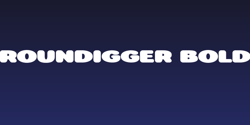 Roundigger Bold Social Header