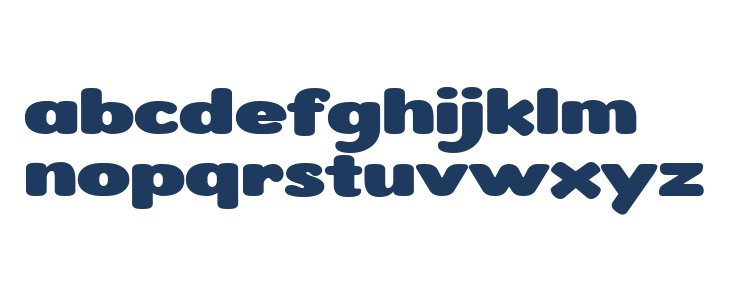 Roundigger Bold Lowercase