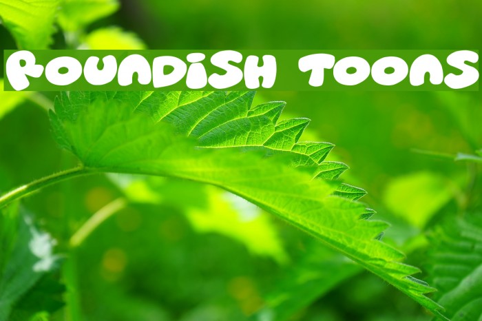 Roundish Toons Example 1