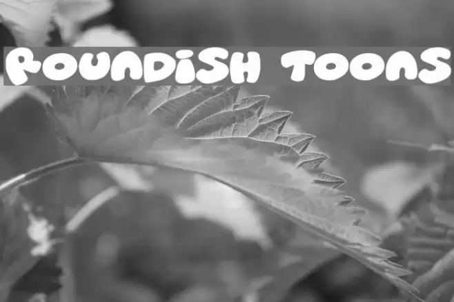 Roundish Toons Font examples
