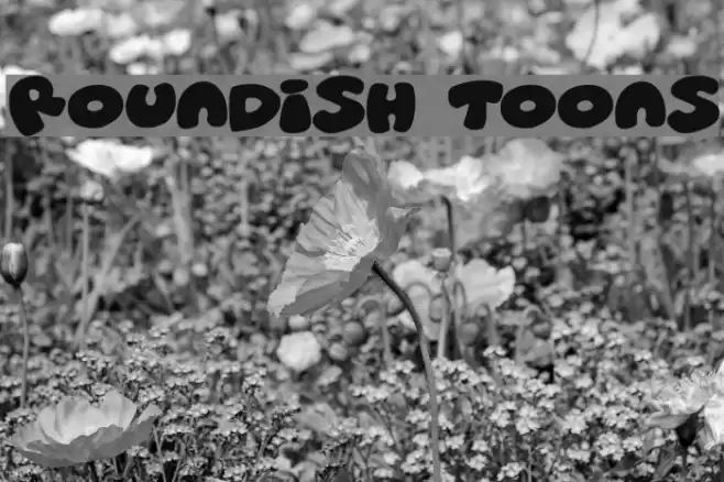 Roundish Toons Font examples