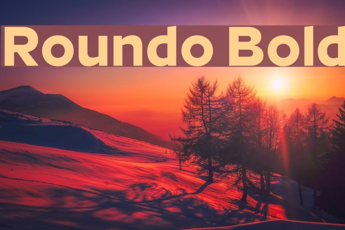 Roundo Bold Font examples