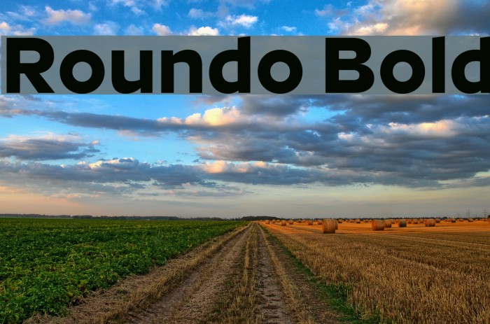 Roundo Bold Font examples