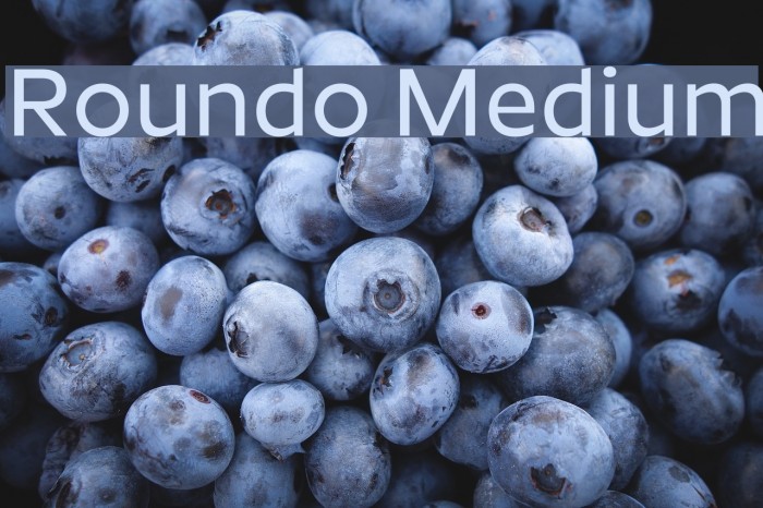 Roundo Medium Example 1