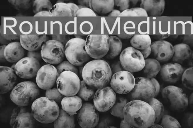 Roundo Medium Font examples
