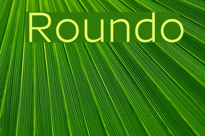 Roundo Font examples