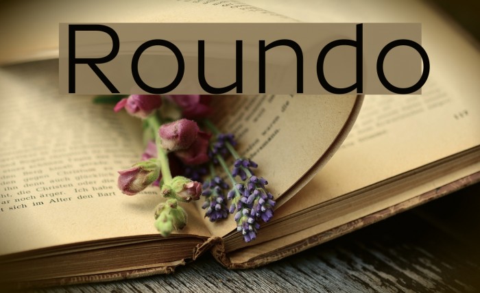 Roundo Font examples